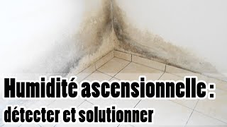 Humidité ascensionnelle  explications identification et solutions [upl. by Inal]