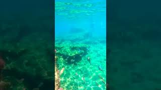 SNORKELING RHODES GREECE  Kalithea 2022 travels [upl. by Laufer]