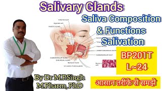 Salivary Glands  Saliva Composition  Salivation  Human Anatomy amp PhysiologyII  BP201T  L24 [upl. by Ynnaj]