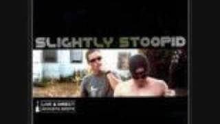 Slightly Stoopid  Officer [upl. by Kyne]