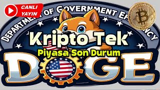 ğŸ”´CANLI ELON MUSK DOGE PAYLAÅIMI  TRUMP BÄ°TCOÄ°NÄ° REZERV PARA MI YAPIYOR  ALTCOÄ°N Ä°NCELEMESÄ° [upl. by Syhr447]