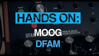 Moog DFAM – Handson [upl. by Tarabar]