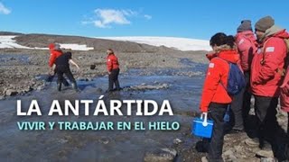 La Antártida Vivir y trabajar en el hielo [upl. by Stambaugh]