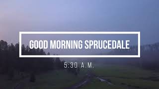 Good Morning Sprucedale [upl. by Aisnetroh]