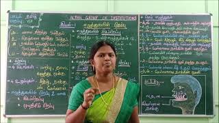 GRADE VIII TAMIL எழுத்துகளின் பிறப்பு [upl. by Nahsed]