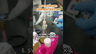 POV Forced Fermentation Test [upl. by Annovoj153]