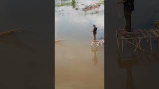 Village Fishing in rainy season during flooding using net casting netfishing fishingwithnet [upl. by Camilia]