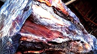 Ancient wood saved by collectors worth 5789 billion was found [upl. by Russel373]