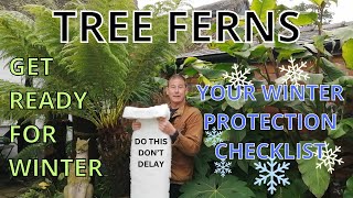 TREE FERNS WINTER CARE PREPARATIONS  Frost Protection for Dicksonia Antarctica [upl. by Aramen]