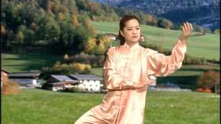 YangStyle 48 Form Tai Chi Chuan [upl. by Longwood]