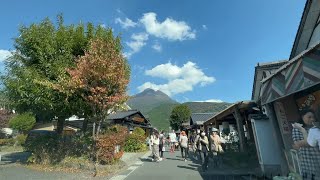 【今日の湯布院】由布院駅から湯の坪街道を通って一周する動画 湯布院湯の坪街道由布院駅 [upl. by Eibrik]