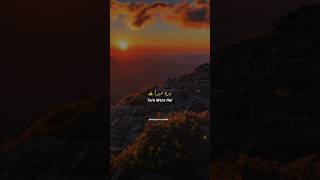 Noor e Jahan Or Noor e Mohabbat Status ❤️ Tera Mera Hai Pyar Amar Status  Ishq Murshid  Lofi 🥀🎧 [upl. by Meir]