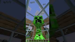 OMG MINECRAFT FUNNY [upl. by Keifer]