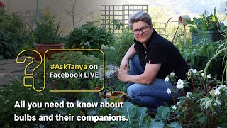 Garden Masterclass LIVE with Tanya Visser  Bulbs and their companions [upl. by Danni]