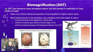 AP Environmental Science 88  Bioaccumulation and Biomagnification [upl. by Akemed]