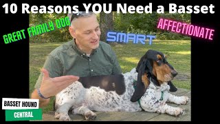 Basset Hound  10 Reasons YOU Need a Basset Hound [upl. by Norbert]