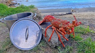 NZed Divers  CRAYFISH CATCH N COOK New Zealand Freediving amp Beach Cleanup Ep 1 [upl. by Feirahs966]