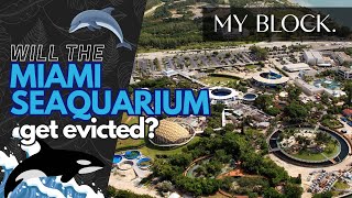 WILL THE MIAMI SEAQUARIUM GET EVICTED🐬🐋 [upl. by Mallina]