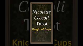 Nicolette Ceccoli Tarot  Knight of Cups guidance tarotcards tarotreading help tarot Nicolette [upl. by Lorelei]