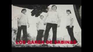 LOS GARZA DE SABINAS  POR VERTE FELIZ [upl. by Wilow40]