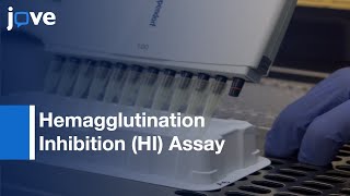 Hemagglutination Inhibition HI Assay to Quantify Influenza Antibodies [upl. by Desta364]