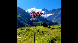 The GR5 Grand Traverse of the Alps ThruHike across the French Alps [upl. by Verla]