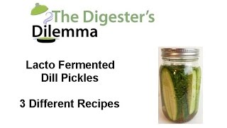 LactoFermented Dill Pickles  3 Different Recipes [upl. by Mcgrath]