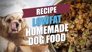 Lowfat Homemade Dog Food Recipe [upl. by Neellok]