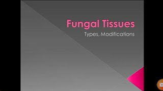 Fungal Tissues  Modifications of Hyphae  Plectenchymma  Pseudoparenchyma  Stroma  Pak Botanist [upl. by Agnizn]