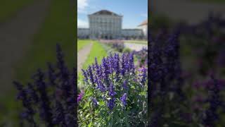 Nymphenburg Palace Munich August 2nd 2024 [upl. by Astrix]