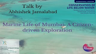 Marine Life of Mumbai A Citizendriven Exploration  Abhishek Jamalabad [upl. by Repsaj911]