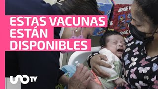 Llaman a completar gratis esquema de vacunación de niños menores de 8 años [upl. by Halle901]