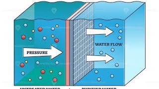 Body fluid compartments part 25  Osmosis Osmolarity Osmolality and Tonicity [upl. by Annoerb]