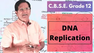 DNA Replication  Grade 12 Biology [upl. by Ecinnaj717]