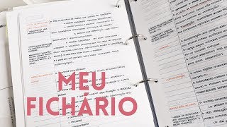 COMO ORGANIZO MEU FICHÁRIO [upl. by Leummas]