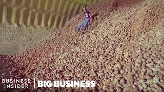 Why Millions Of Potatoes Are Being Thrown Away During The Pandemic  Big Business [upl. by Aehr88]