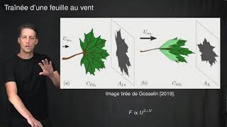 Analyse dimensionnelle et asymptotique dune feuille au vent [upl. by Phillida]