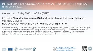 Pablo Barrionuevo How do ipRGCs work Evidence from the pupil light reflex [upl. by Nodnrb]