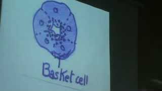 Dr Gehan Salivary Glands 10112013 [upl. by Ellevel]