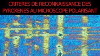 Pyroxènes critères de reconnaissance en LPnA vs LPA SVT Hervé Kempf lycée de lElorn [upl. by Nahn732]