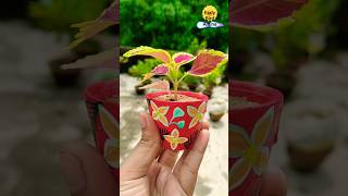 Mini Earthen pot painting diy potpaintingideas acrylicpainting potpainting shorts planter [upl. by Evie]