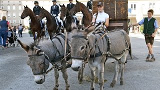 Aktionstage der Landwirtschaftsschulen Salzburg [upl. by Accisej]