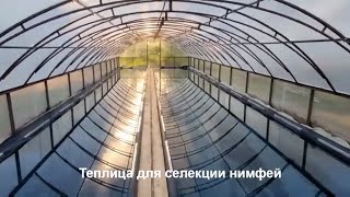 Новая теплица для нимфей с применением гидроизоляции EPDM мембраны Polygomma Pond Liners [upl. by Maryly]