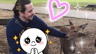 ►Follow Egoraptor and I around NARA PARK with GIRLGAMERGAB [upl. by Joo]