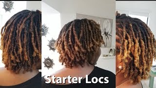 Starter Locs on Curly Natural Hair  Loc Journey Vlog [upl. by Gnihc762]