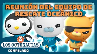 Los Octonautas  🐻‍❄️😼🐧 ¡Reunión del equipo de rescate oceánico 🌊  Episodios Completos  Compilado [upl. by Eniamraj73]