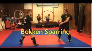 Katana Bokken vs Katana Bokken Sparring [upl. by O'Driscoll585]