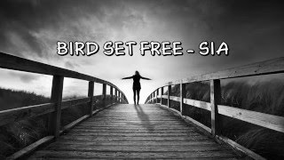 Vietsub Bird Set Free  Sia [upl. by Aliab]