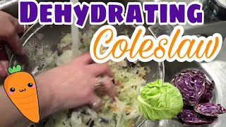 DEHYDRATING Coleslaw Mix  Review On Dehydrated Vegetables [upl. by Dickie486]