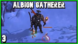 The Albion Online Gatherer  I was Soloing an aspect [upl. by Shifrah]